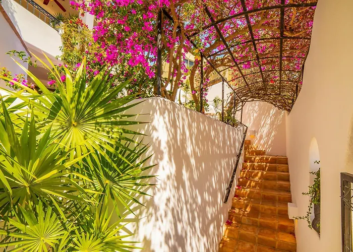 Villa Colorado By Cabo *